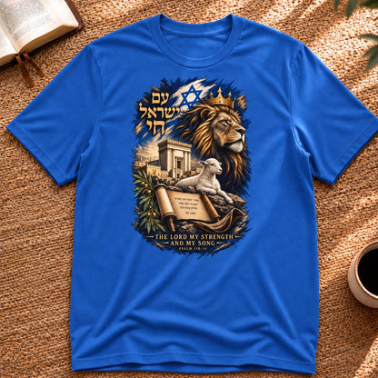 Löwe, Lamm & Tempel T-Shirt