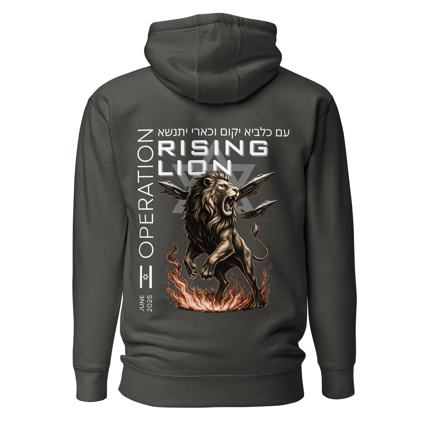 Operation Rising Lion | Herren-Hoodie